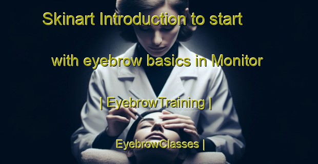 Skinart Introduction to start with eyebrow basics in Monitor | EyebrowTraining | EyebrowClasses | SkinartTraining-United States